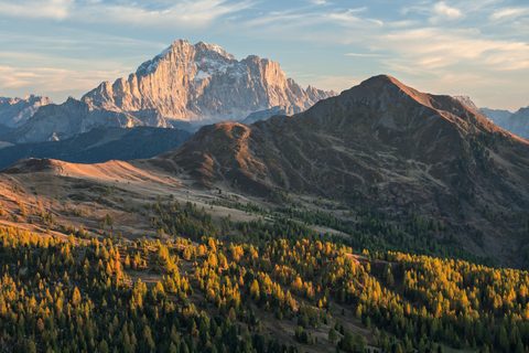 Golden autumn larches on rolling hills below a tall limestone peak lit by evening sun.