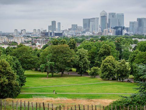 A green city park with scattered trees and walkers, the towers of a distant skyline rising behind it.