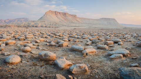 Scattered pale concretions scattered across a desert plain leading to a flat-topped cliff.