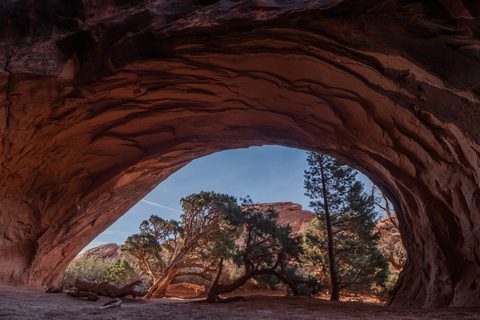 A view out through a sandstone alcove arch toward juniper and pine trees and distant rock formations.